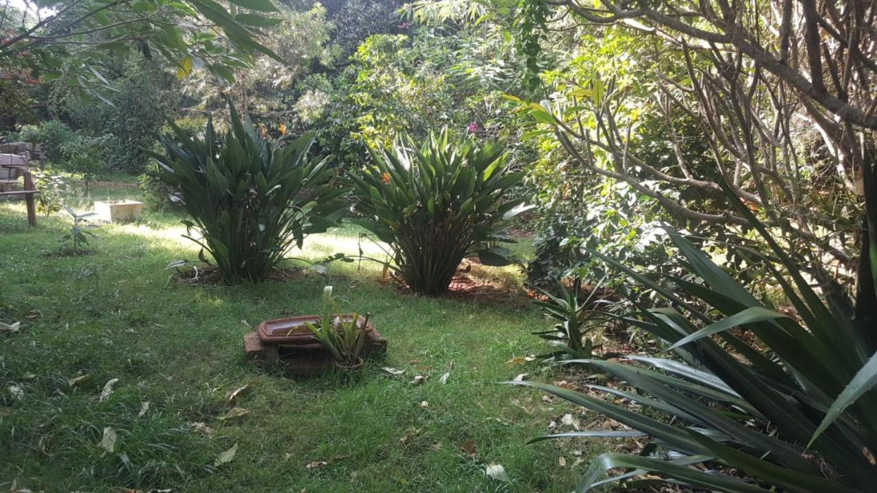 The Cottage-Place Of Grace 2Bdrm And Loft Bed All 4U At Usd58 Nairobi Bagian luar foto