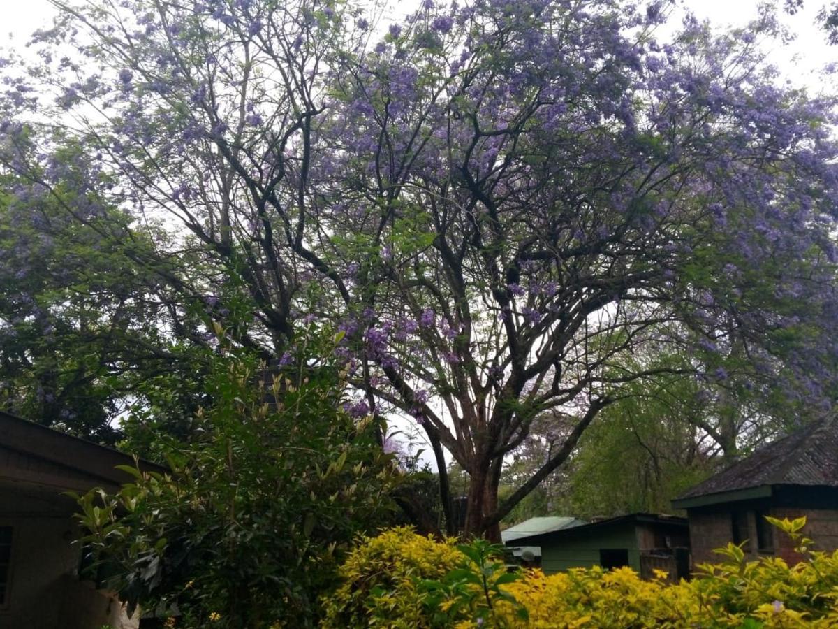 The Cottage-Place Of Grace 2Bdrm And Loft Bed All 4U At Usd58 Nairobi Bagian luar foto