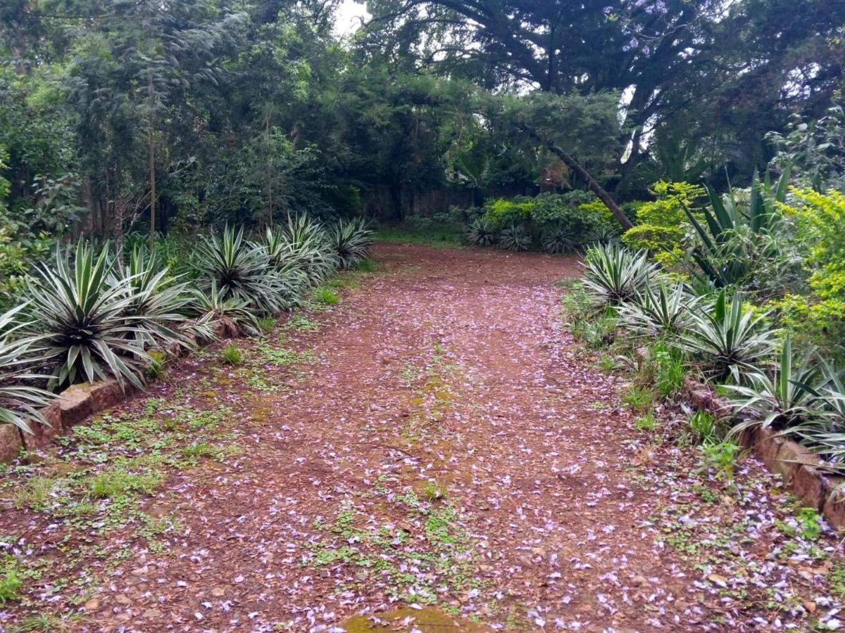 The Cottage-Place Of Grace 2Bdrm And Loft Bed All 4U At Usd58 Nairobi Bagian luar foto