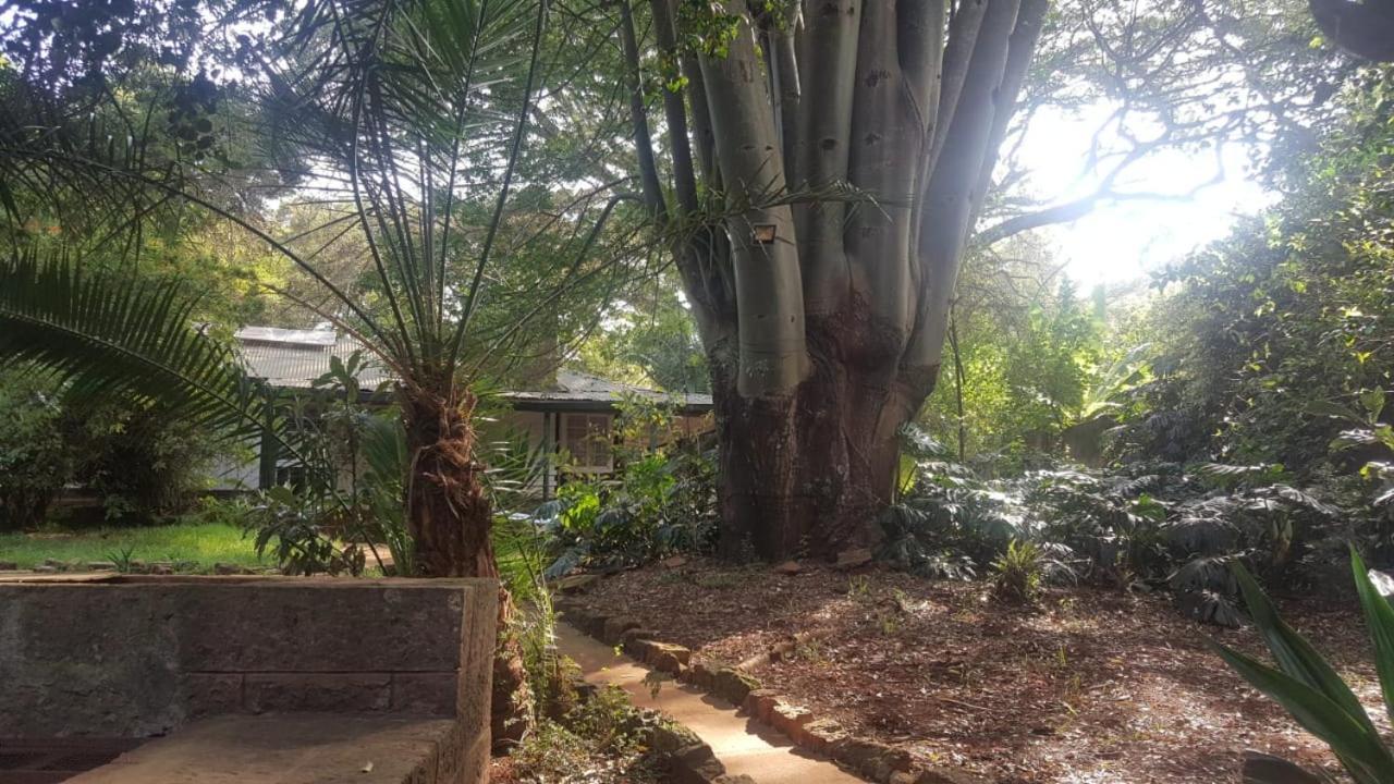 The Cottage-Place Of Grace 2Bdrm And Loft Bed All 4U At Usd58 Nairobi Bagian luar foto