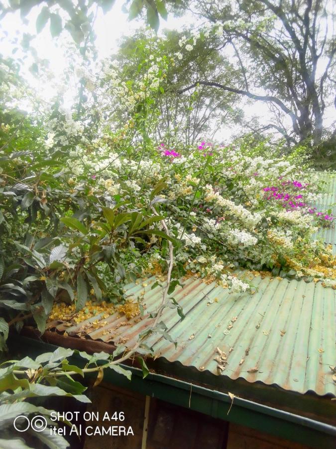 The Cottage-Place Of Grace 2Bdrm And Loft Bed All 4U At Usd58 Nairobi Bagian luar foto